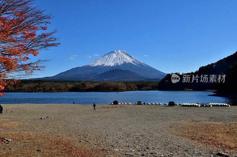 富士山和日本富士五湖地区的秋叶:Shojiko湖/ Shoji湖